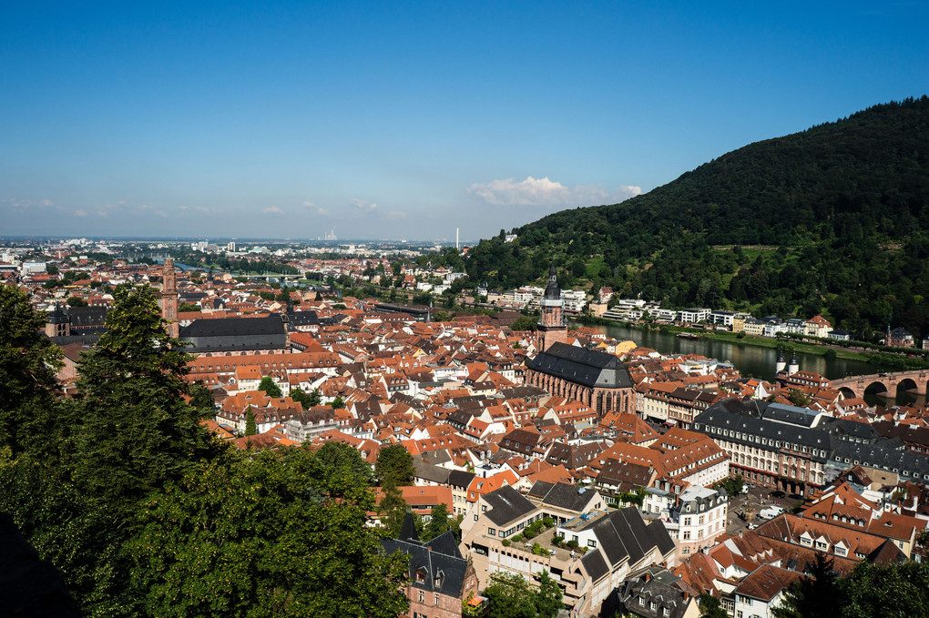 Heidelberg城からの旧市街