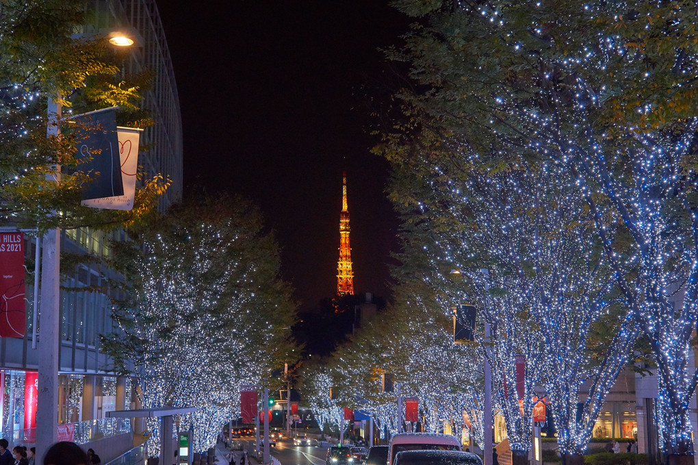 けやき坂のイルミと東京タワー