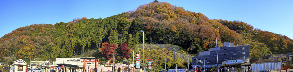 高尾山口の紅葉パノラマ