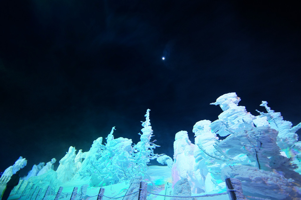 蔵王 -樹氷と月-