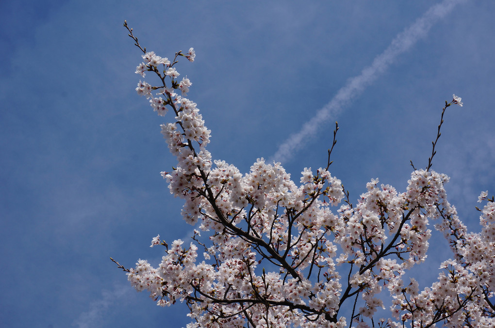 青空と