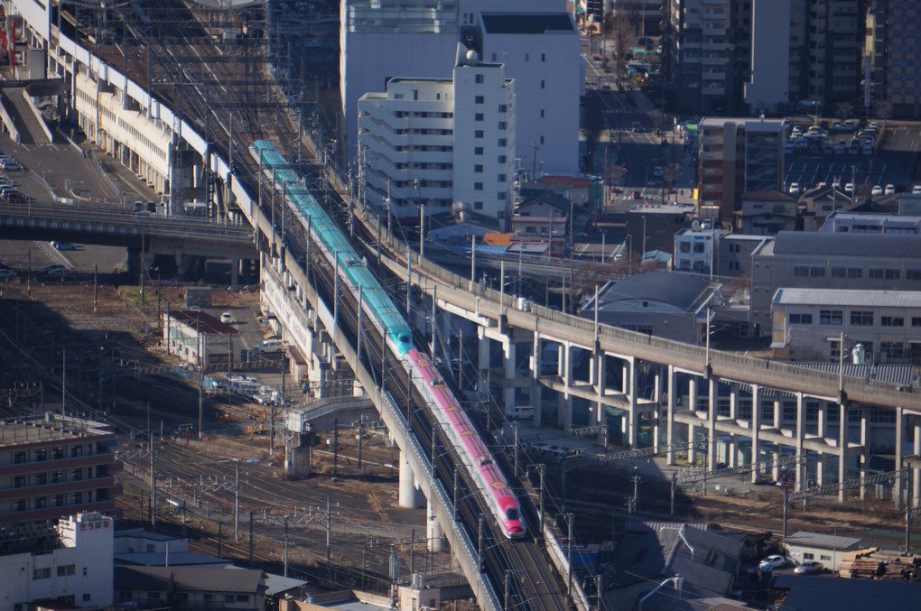 祝！北海道新幹線開通～