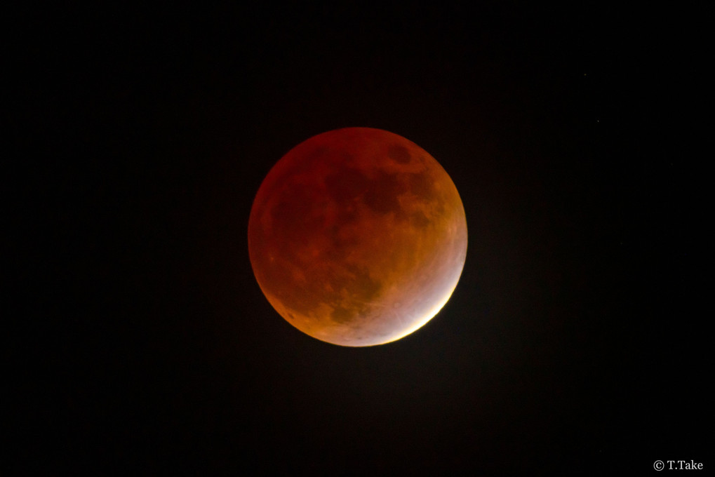 Lunar Eclipse 2021-11-19