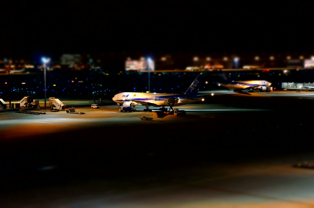 夜の空港散歩