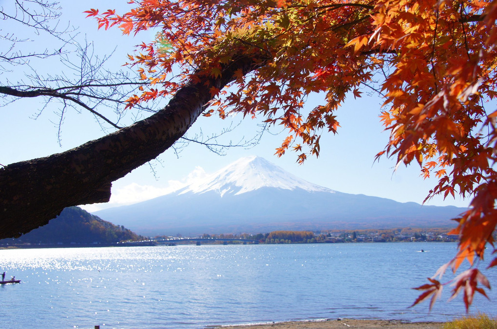 富士山と紅葉#カレンダー2024