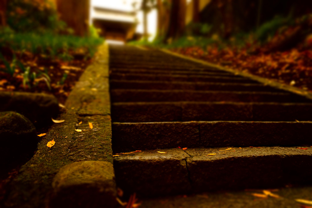 石階段と落ち葉