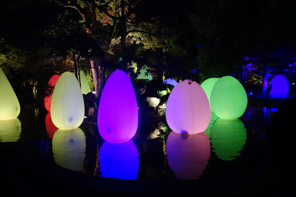 チームラボ広島城光の祭