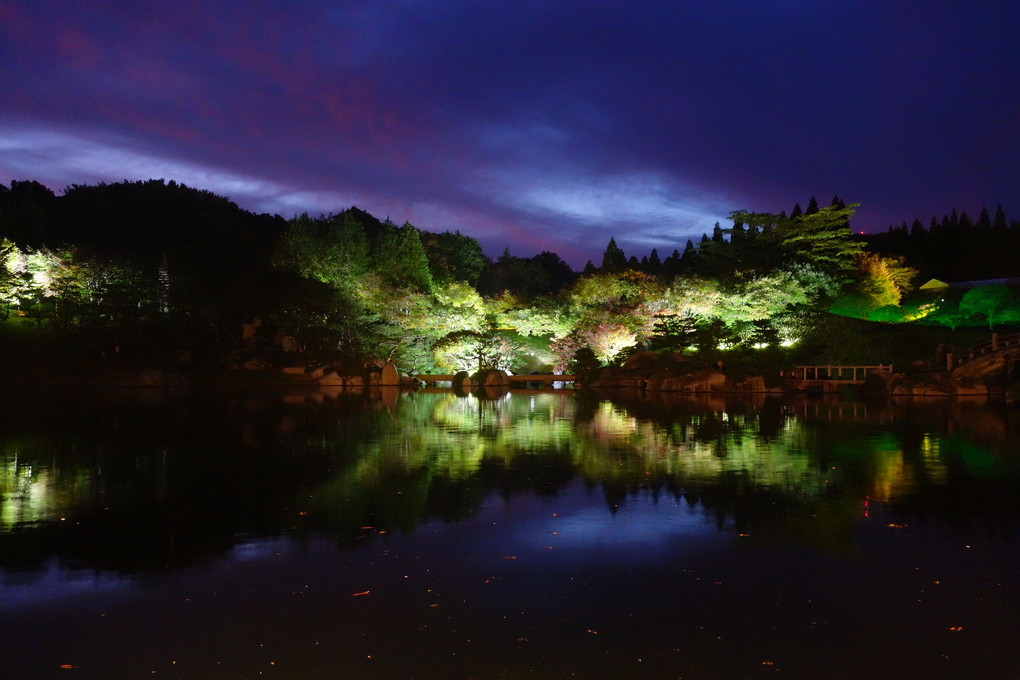 広島三景園のもみじのライトアップ