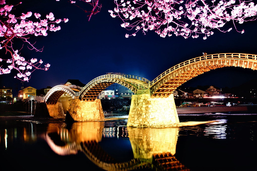 夜桜と錦帯橋
