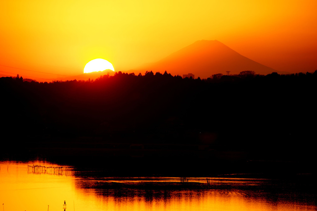 印旛沼から富士夕景