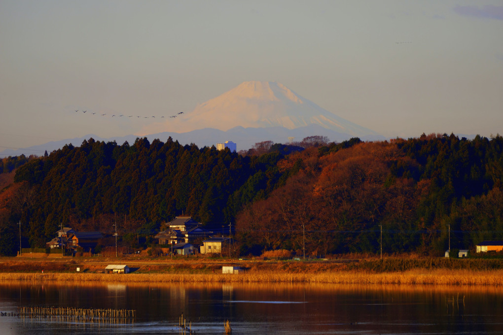 朝日で真っ赤に染まる富士山