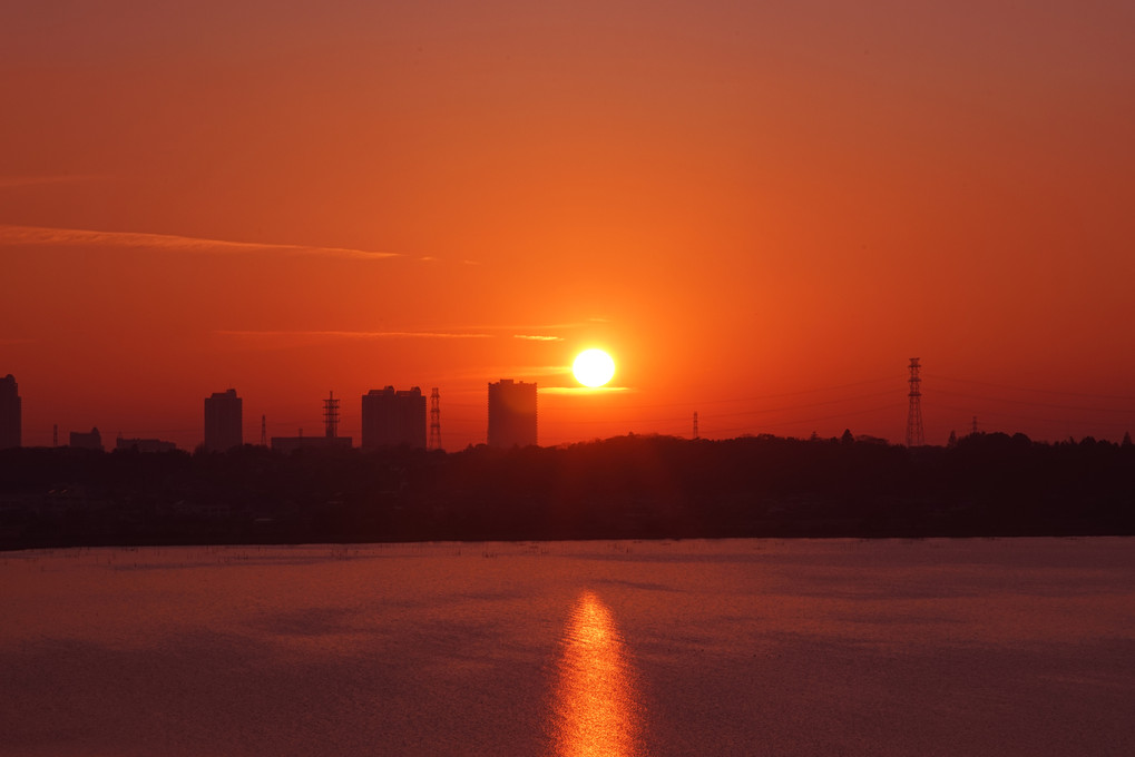 光のみち　（印旛沼に涼む夕陽）