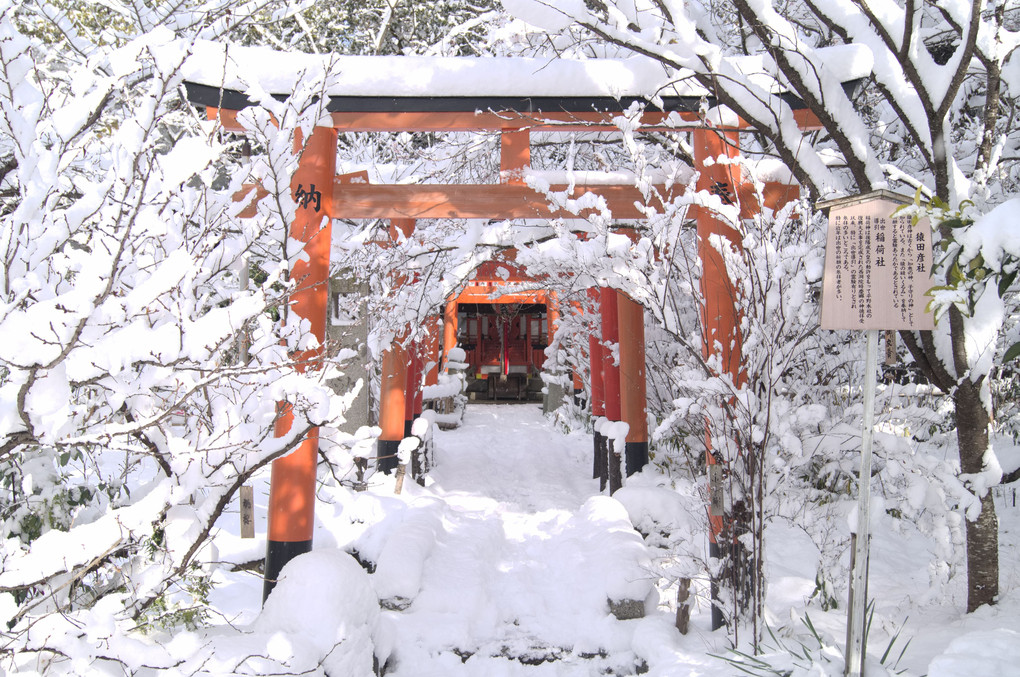冬の平野神社