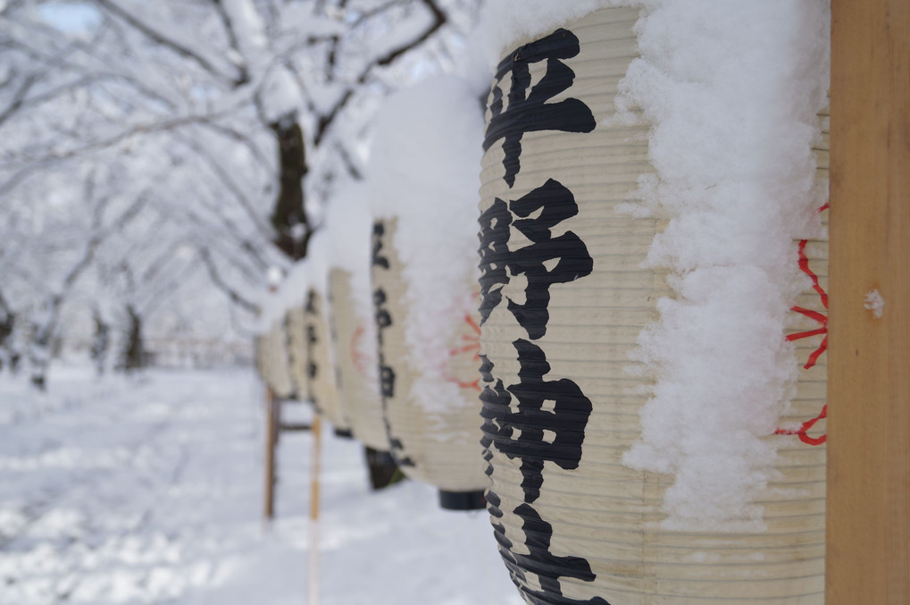 冬の平野神社