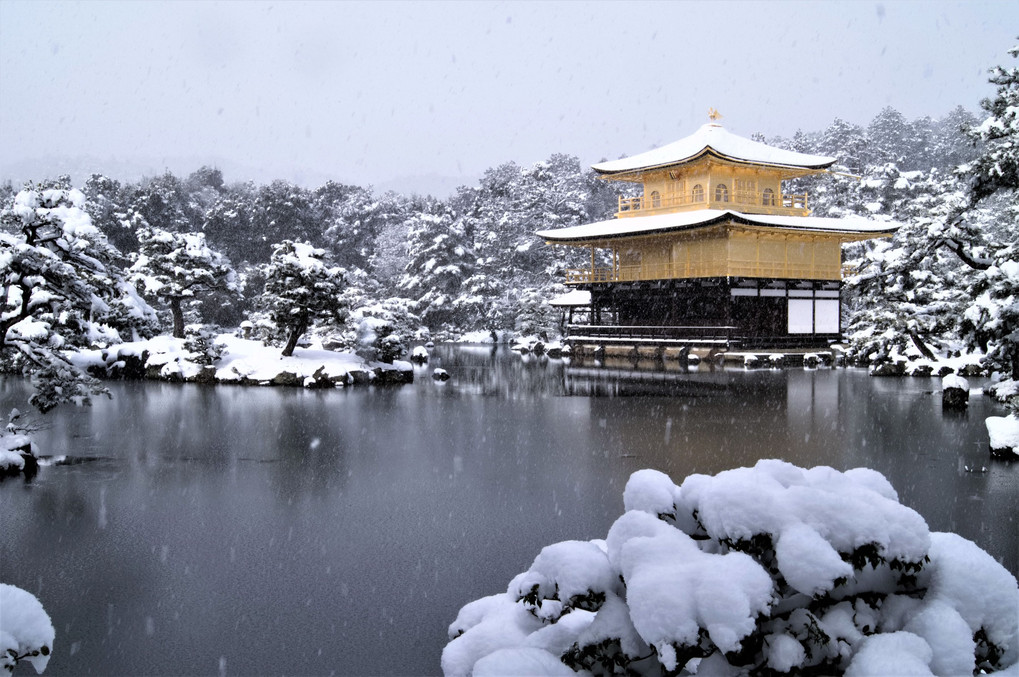 雪の金閣寺