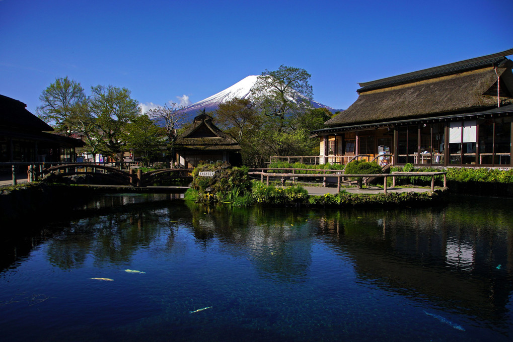 日本の原風景（3）鯉と茅葺きと富士と