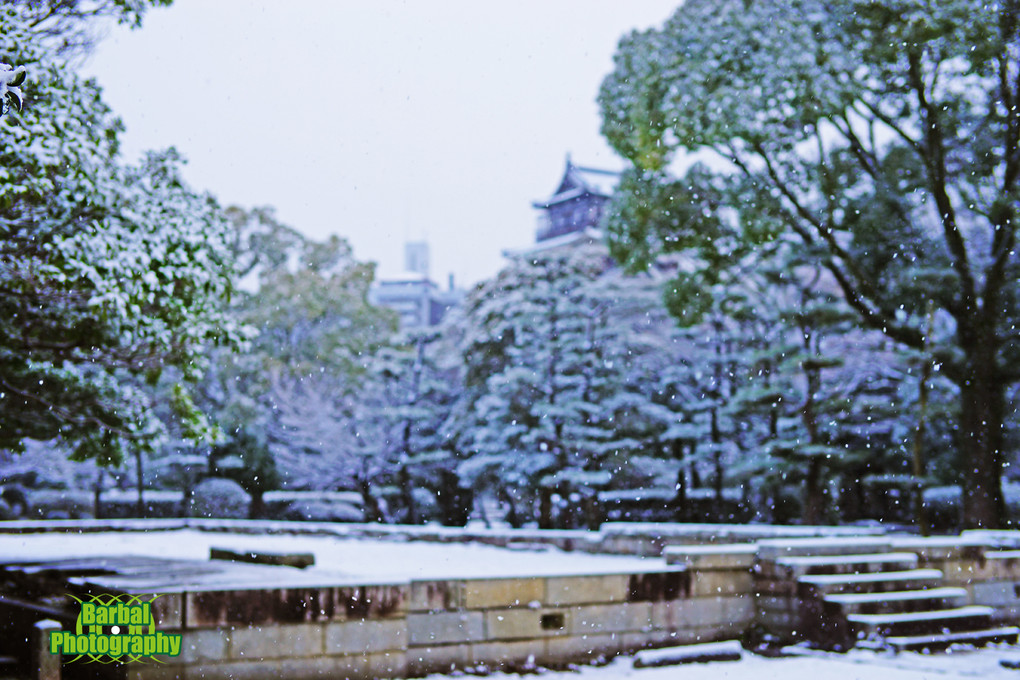 雪　広島城