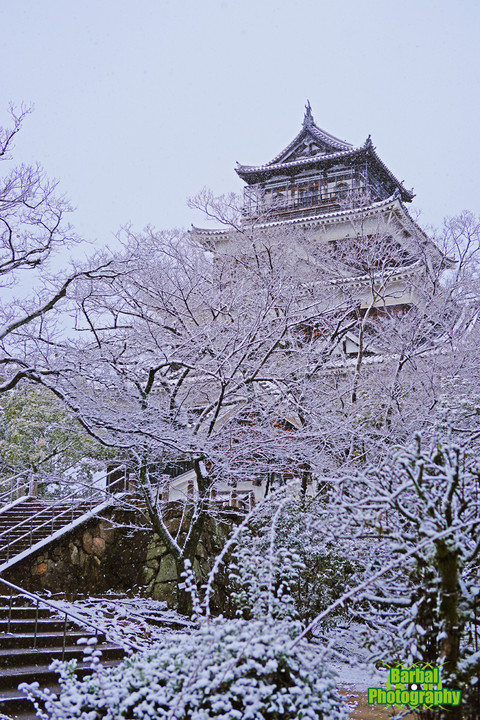 雪　広島城