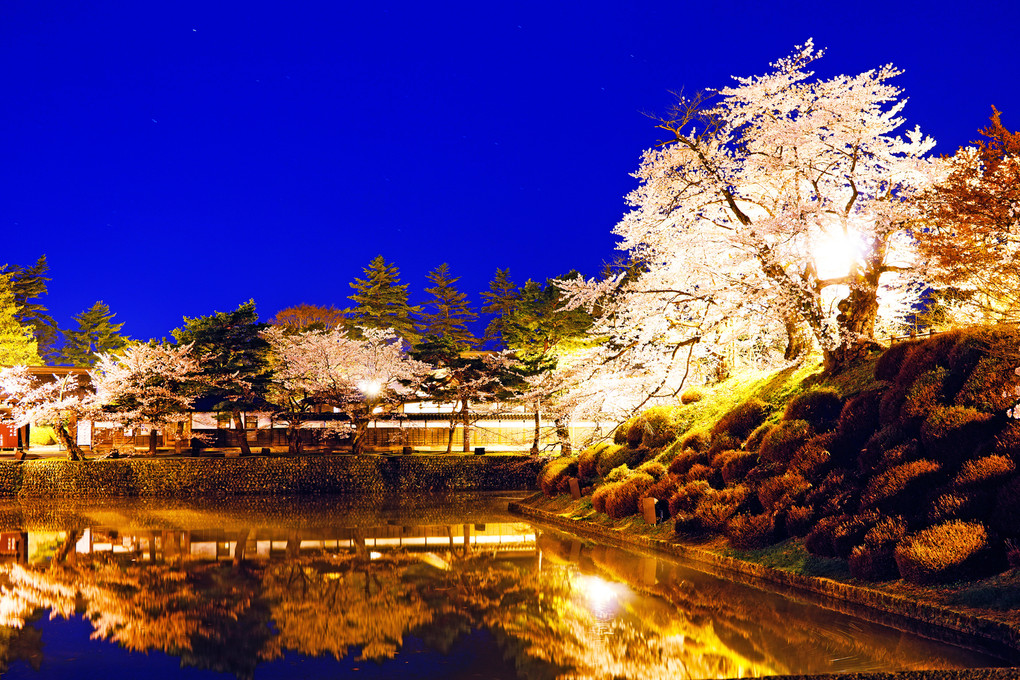 米沢上杉神社の夜と朝