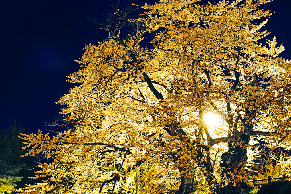 米沢上杉神社の夜と朝