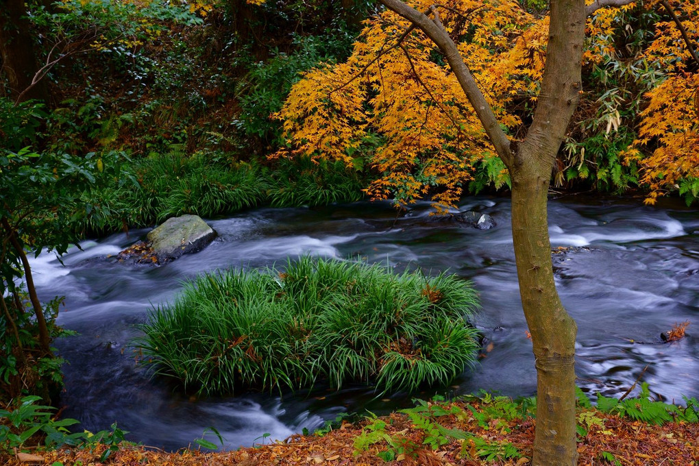 白川水源公園