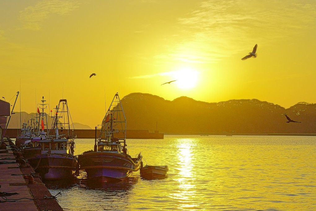 朝の門川漁港
