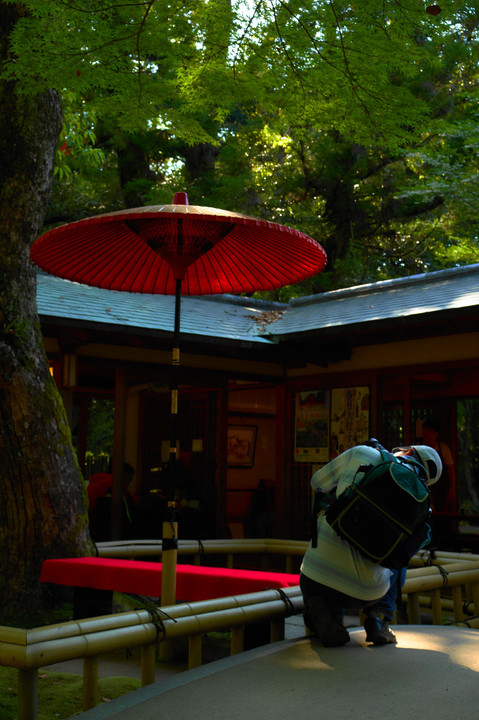 奈良公園散策（茶屋）