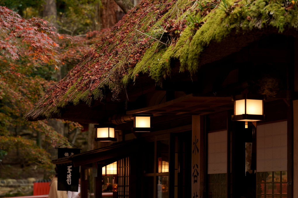 奈良公園散策（お茶屋さん）