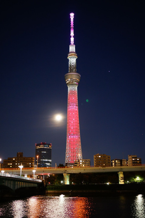 SDGsのスカイツリー - 前 -