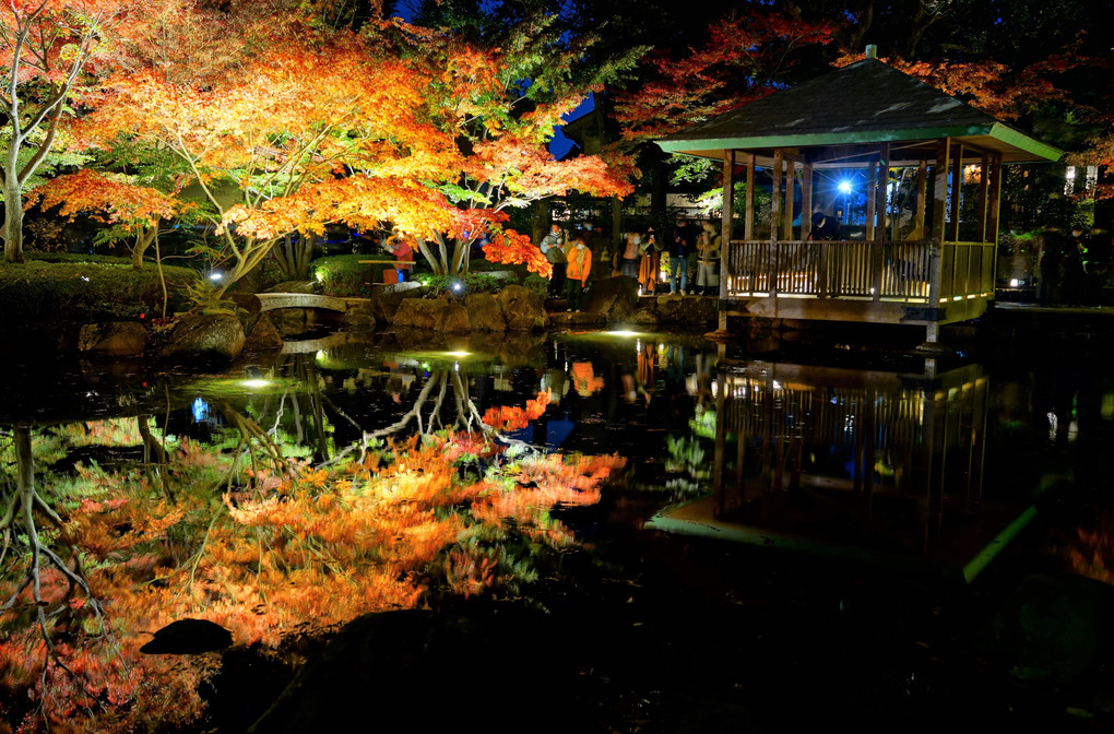 大田黒、紅葉の夕べ - 終 -