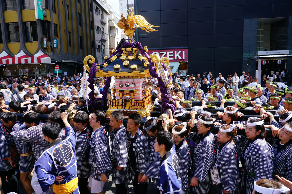 奉祝 令和元年 三社祭 - 日曜日 雷門界隈・昼 -