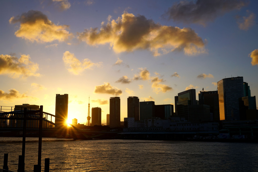 築地場内最後の日の夕景