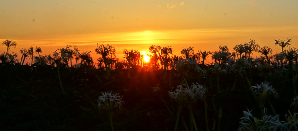 角島の日没