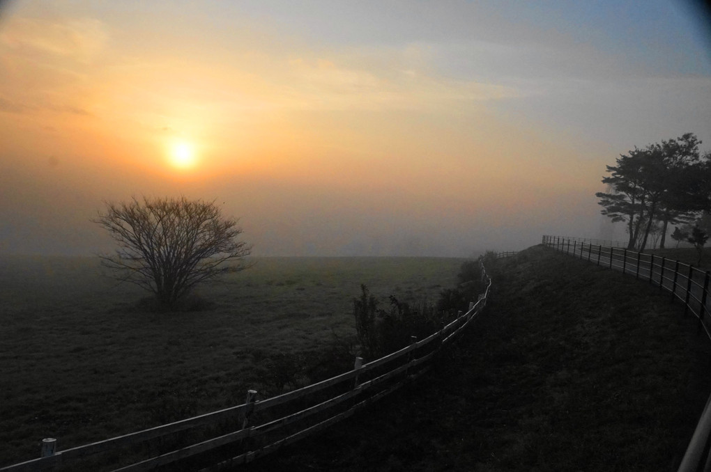 牧場の朝の霧の海