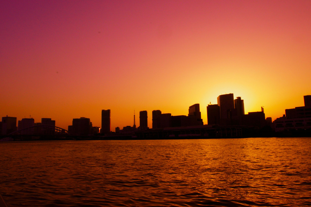 勝どき橋から東京タワーとビル群を望む　夜景と夕景