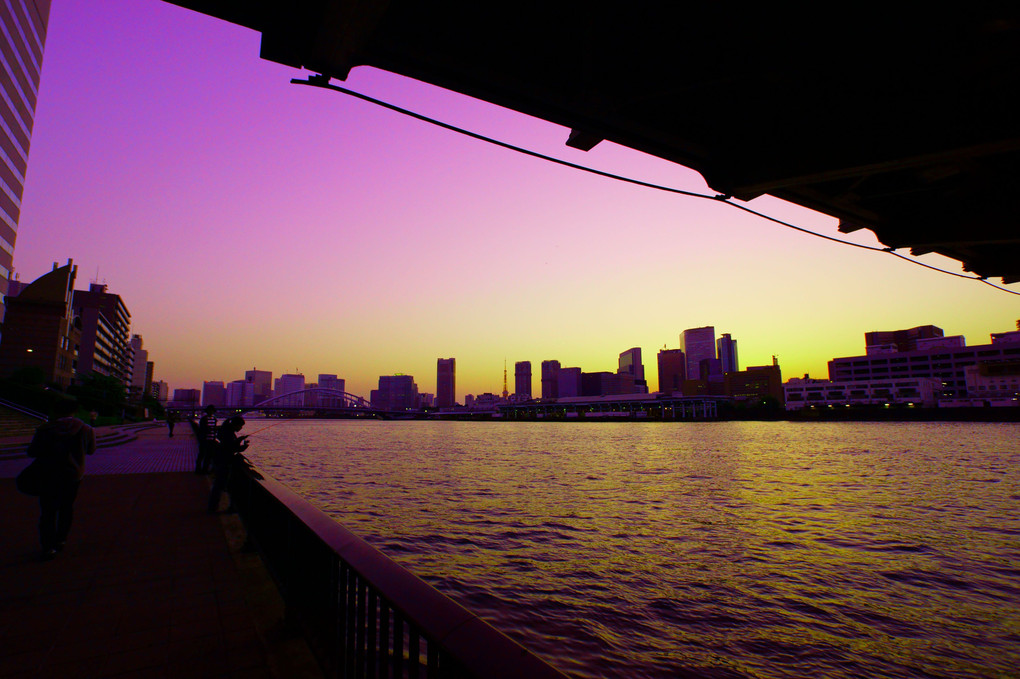 勝どき橋から東京タワーとビル群を望む　夜景と夕景