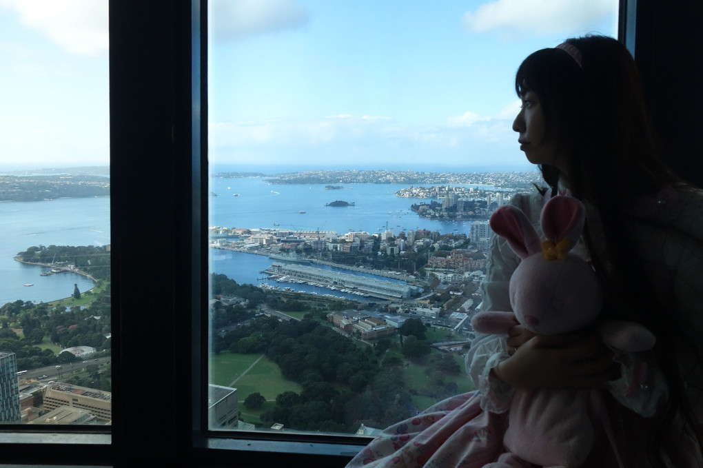 シドニー・タワー・アイから見た景色