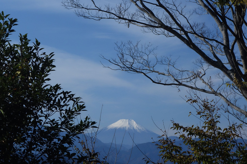 高尾山から富士山