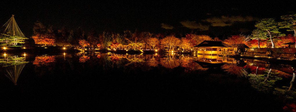 昭和記念公園　ライトアップ2022