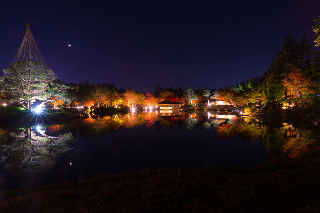 昭和記念公園　ライトアップ2020