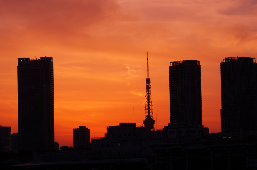 勝どき橋から東京タワーを撮る