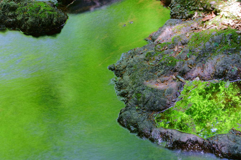 緑の渓流