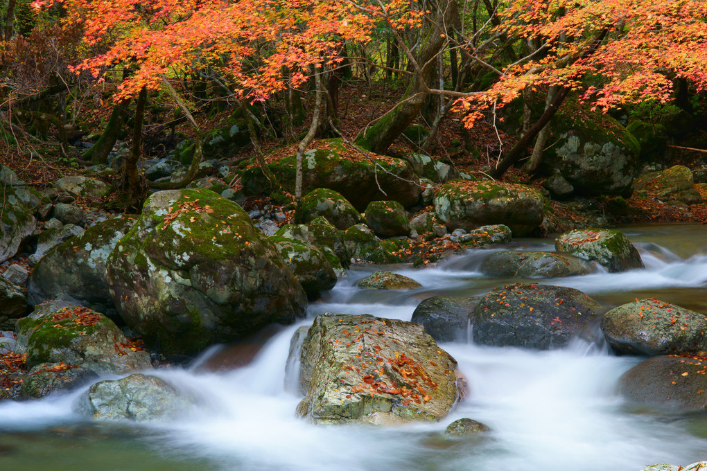 秋深い渓流