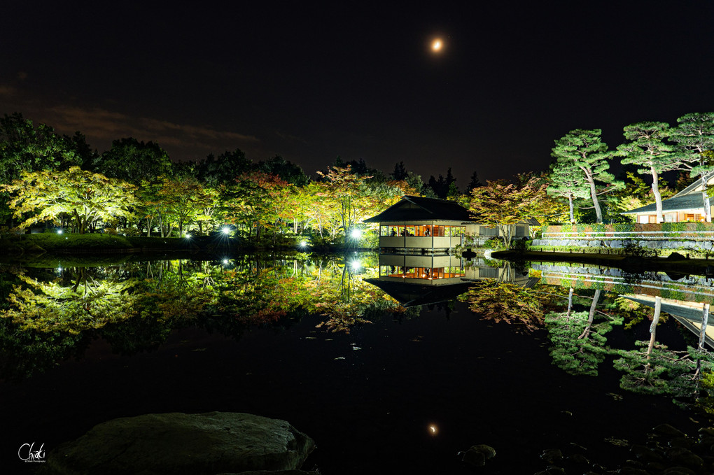 昭和記念公園「秋の夜散歩」