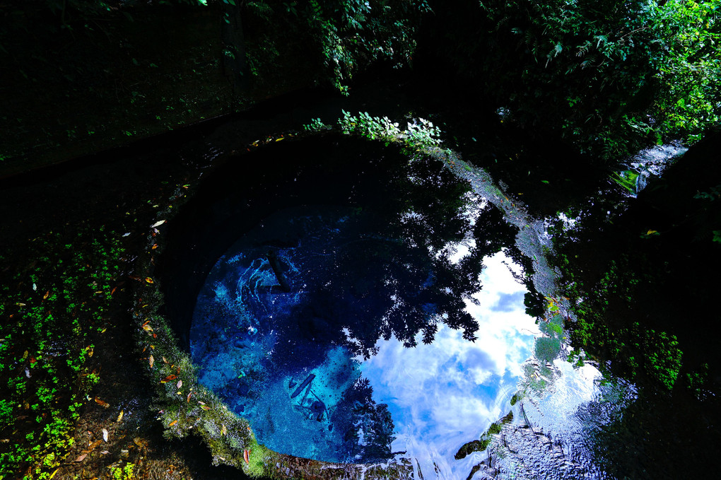 青の湧水