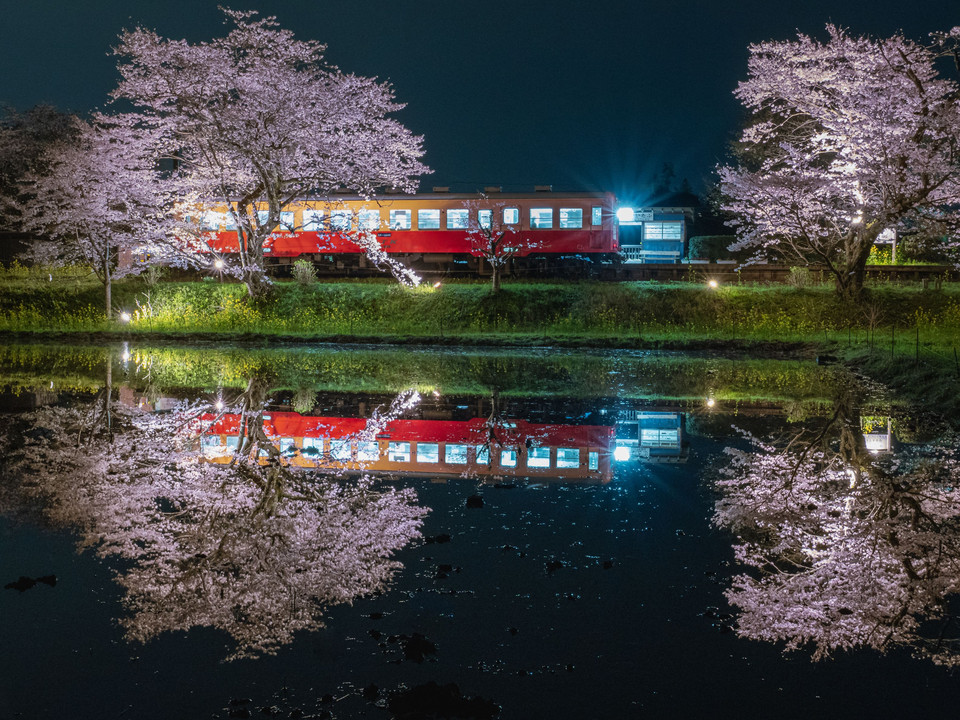 小湊鉄道と夜桜