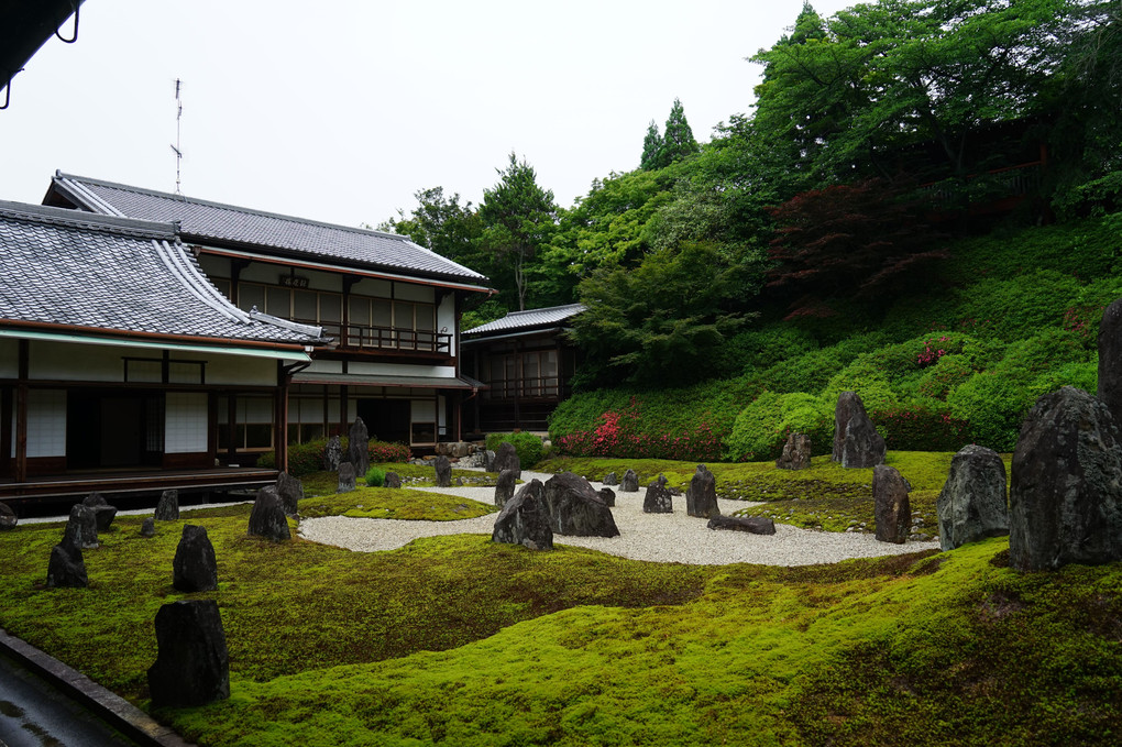 京都　光明院の庭