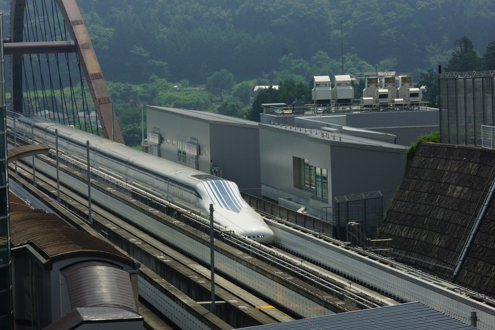 30数年ぶりの電車