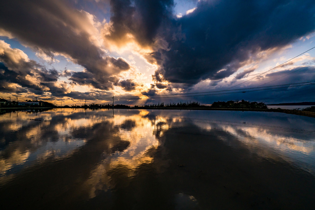 ウユニ湖風の田んぼ夕景