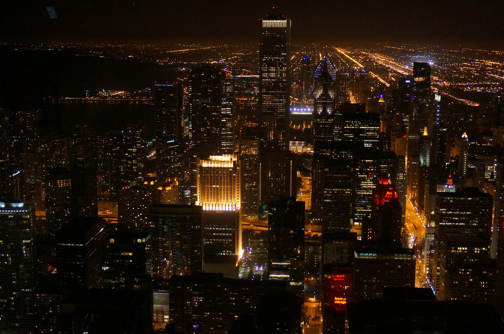 A night scene of skyscraper in Chicago